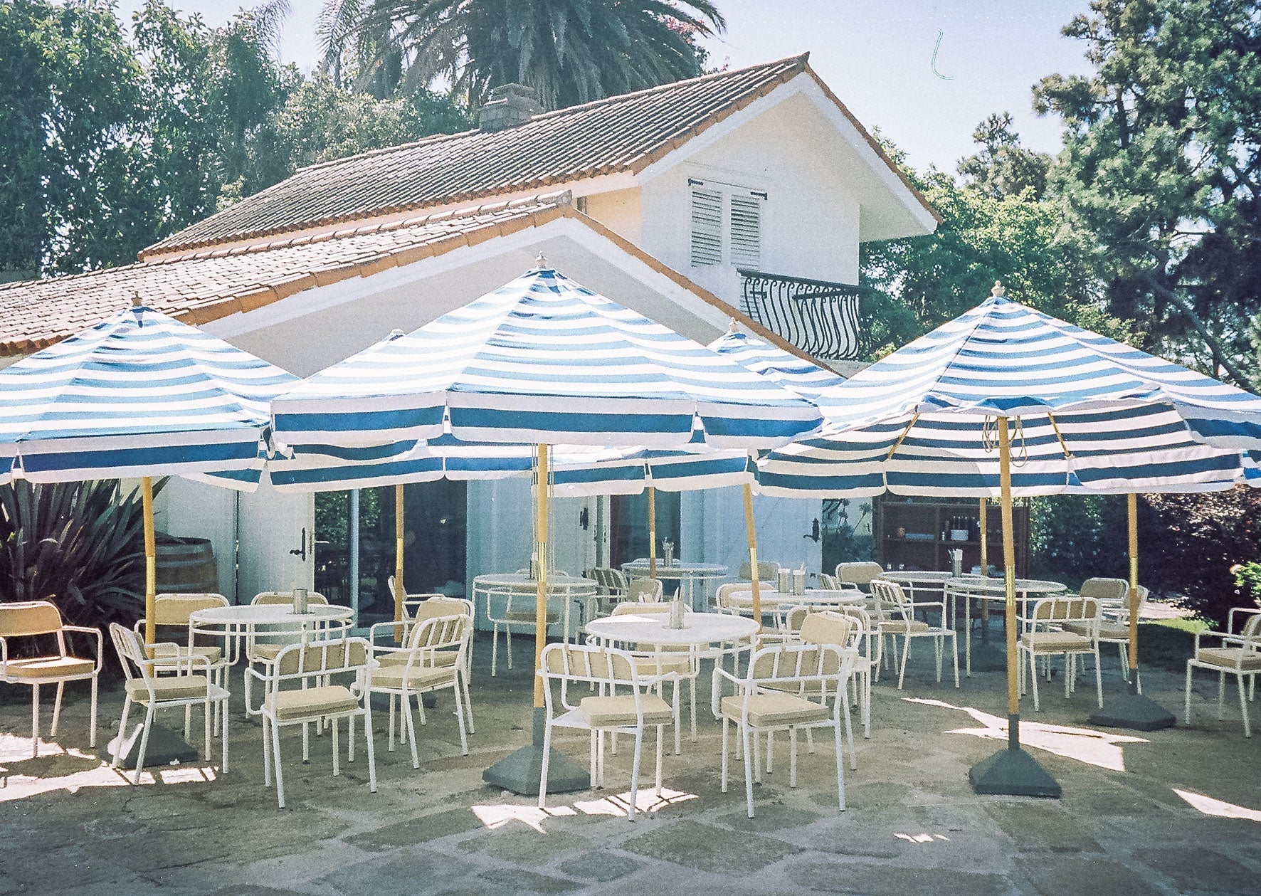 Otero: Where Great Food Meets the Essence of Rotunda